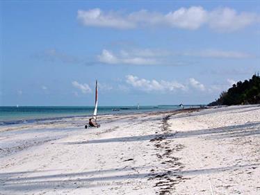 Beach walk, Zanzibar, DSC06865b